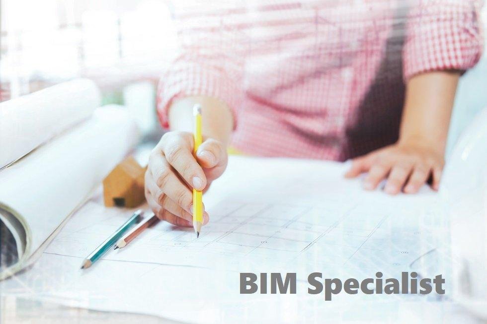 Chi è il BIM Specialist?